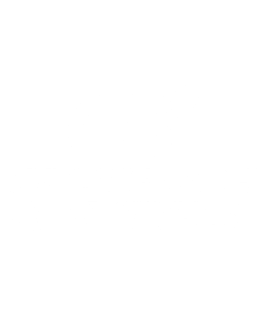 CRUCEROS BAYRES